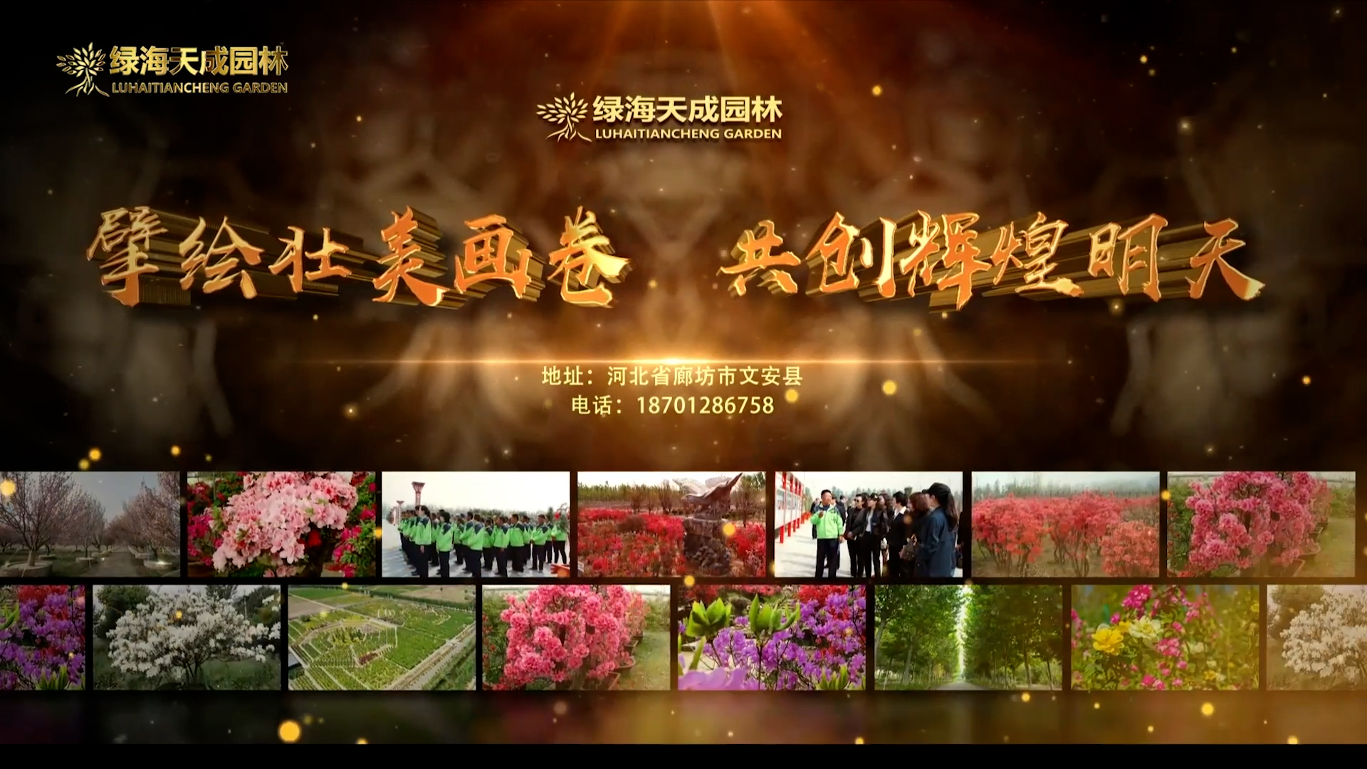 綠海天成園林宣傳片 2024