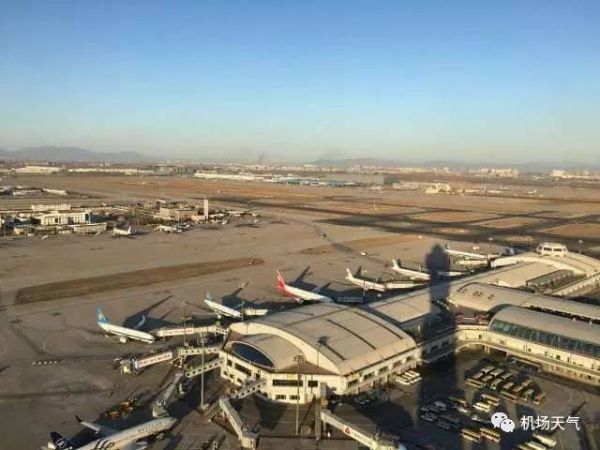 厲害了我的國(guó)門(mén)!首都機(jī)場(chǎng)春運(yùn)吞吐量破千萬(wàn)392933_ 厲害了我的國(guó)門(mén)!首都機(jī)場(chǎng)春運(yùn)吞吐量破千萬(wàn)